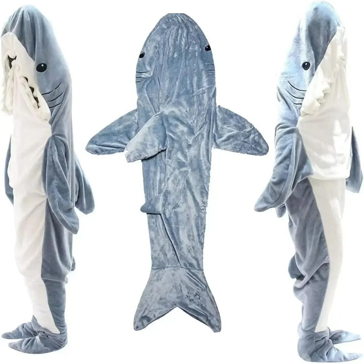 Snowen Requin, face, dos et profil